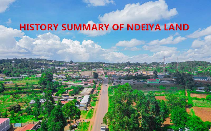 Ndeiya Land History: Land Allocation, Development Projects, and Ongoing Compensation Disputes